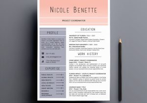 Americorps National and State Resume Sample Vorlagen Wieder Aufzunehmen – Etsy.de