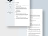 Aml Compliance Officer Resume Samples Sar Aml Analyst Resume Template – Word, Apple Pages Template.net