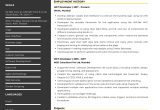 Angular and Typescript Net Developer Sample Resume Sample Resume Of .net Developer with Template & Writing Guide …