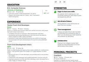 Angular2 4 Developer In Resume Sample Front End Developer Resume Examples & Guide for 2022 (layout …