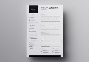 Apple Pages Resume Template Download Free Pages Resume Templates: 10lancarrezekiq Free Resume Templates for Mac