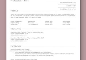 Applicant Tracking System Friendly Resume Template ats Resume, Applicant Tracking Systems Traditional Curriculum …