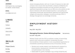 Applied for A Board Position Resume Sample Managing Director Resume & Writing Guide  12 Examples Pdf