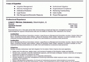 Area Of Expertise Samples for Resume Modern areas Expertise Cv Examples Expertise In Resumes
