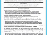 Area Of Expertise Samples for Resume Strong and Convincing areas Of Expertise Resume to Make