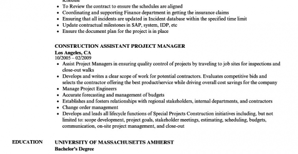Assistant Construction Project Manager Resume Samples Construction assistant Project Manager Resume Samples