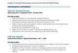 Assistant Director Child Care Resume Sample Child Care assistant Resume Samples