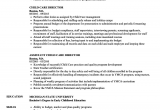 Assistant Director Child Care Resume Sample Child Care Director Resume Examples February 2021