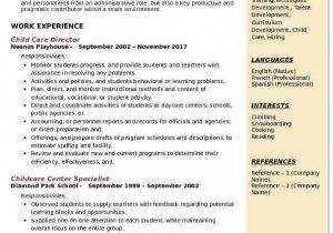 Assistant Director Child Care Resume Sample Child Care Director Resume Examples February 2021