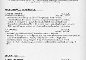 Assistant Director Of Nursing Resume Sample Example assistant Director Nursing Resume