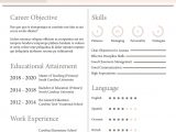 Attractive Resume Templates for Freshers Free Download Fresher School Teacher Resume format Template – Word, Apple Pages …