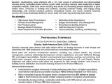 Automotive General Sales Manager Resume Sample 12 13 Automotive General Manager Resume