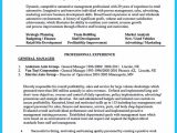 Automotive General Sales Manager Resume Sample New Automotive General Manager Resume Car Sales Cv 24