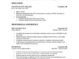 Back to Work Mom Resume Samples 78 Best Images About Free Downloadable Resume Templates by