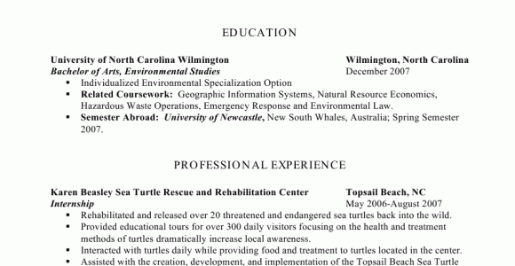 Back to Work Mom Resume Samples Stay at Home Mom Back to Work Resume Example