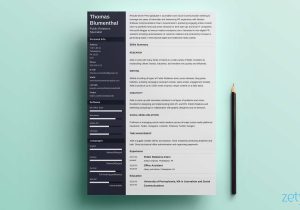 Back to Work Retirement Resume Sample Functional Resume: Examples & Skills Based Templates