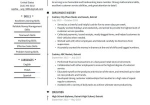 Bagger Job Description Samples for Resumes Cashier Resume Examples & Writing Tips 2022 (free Guide) Â· Resume.io