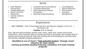 Bagger Job Description Samples for Resumes Cashier Resume Sample Monster.com