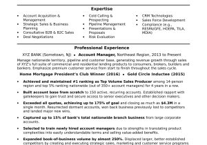 Bank Customer Service Manager Resume Sample Account Manager Resume Monster.com
