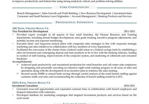 Bank Customer Service Manager Resume Sample Bank Branch Manager Resume Example Resume4dummies