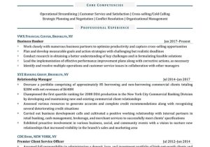 Bank Customer Service Manager Resume Sample Business Banking Relationship Manager Resume Example Resume4dummies