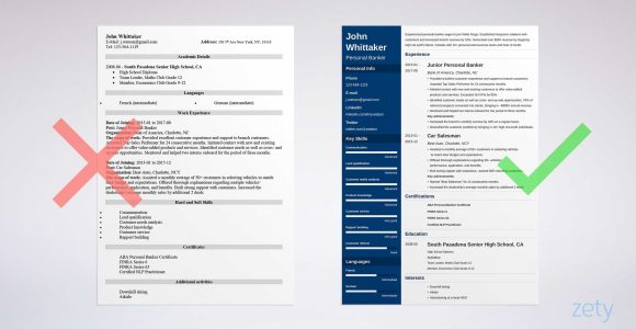 Bank Of America Personal Banker Sample Resume Personal Banker Resume Examples (guide, Skills & More)
