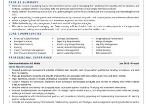 Bank Of America Shared Services Qa Resume Sample Treasury Analyst Resume Examples & Template (with Job Winning Tips)