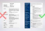 Bank Teller Resume Templates No Experience Bank Teller Resume Examples (with Job Description & Skills)