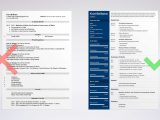 Bar Music event Planner Resume Sample Music Resume (template with Examples for A Musician)