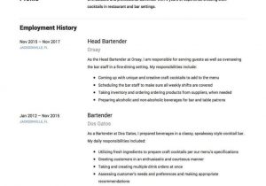 Bartending Resume Samples with No Experience Bartender Resume No Experience Inspirational Bartender 12