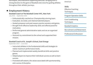 Baseball D1 Resume Sample Colllege Player Baseball Coach Resume Examples & Writing Tips 2022 (free Guide)