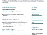 Bash Scripting Using Net Sample Resume Web Developer Resume Example with Pre-filled Content Craftmycv