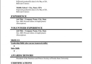 Basic Resume Template for College Students the Marvellous College Student Resume Template Microsoft Word Free …