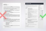 Basic Resume Template for College Students Undergraduate College Student Resume Template & Guide
