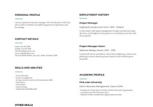 Basic Sample Of A Simple Resume Blue Lines Simple Resume – Templates by Canva