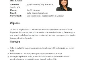 Basic Sample Resume for Customer Service 30lancarrezekiq Customer Service Resume Examples á Templatelab