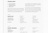 Bauer College Of Business Resume Template Professional Resume Template for Word Professional Resume …