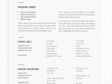 Bauer College Of Business Resume Template Professional Resume Template for Word Professional Resume … Bauer College Of Business Resume Template Professional Resume Template for Word Professional Resume …