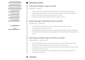 Best Buy Geek Squad Resume Sample Browse Our Example Of Retail Store Manager Job Description …