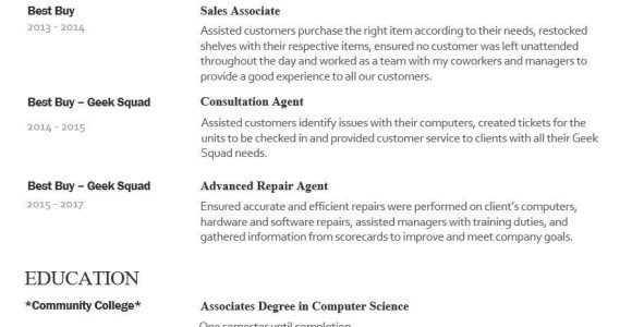 Best Buy Geek Squad Resume Sample Looking to Land Job as Computer Repairman or Entry Level It …