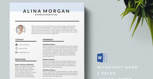 Best Creative Resume Templates Free Download 75 Best Free Resume Templates Of 2019