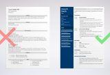 Best It Project Manager Resume Sample Project Manager (pm) Resume / Cv Examples (template for 2022)