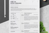 Best Professional Resume Templates Free Download Professional Resume Template â Free Resumes, Templates Pixelify.net