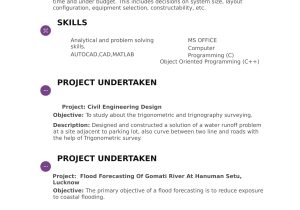Best Resume Sample for Fresher Civil Engineer Resume Templates for Civil Engineer Freshers Download Free