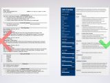 Best Resume Template for Web Developer Web Developer Resume Examples [template & Guide 20 Tips]
