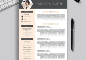 Best Resume Templates 2022 Free Download 2021-2022 Pre-formatted Resume Template with Resume Icons, Fonts …