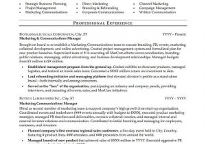Best Resume Templates for Experienced It Professionals Mid Career Resume Sample Professional Resume Examples topresume