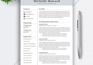 Best Resume Templates for It Professionals Best Professional Resume Template Word, Cv Template, Simple Resume …