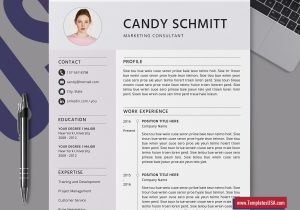 Best Resume Templates for It Professionals Modern Resume Template, Creative Cv Template, Professional Cv format, Ms Word Resume, 1, 2 and 3 Page Resume Design, top Selling Resume Template for …