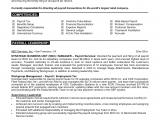 Best Sample Resume for It Professional 7 Samples Of Professional Resumes